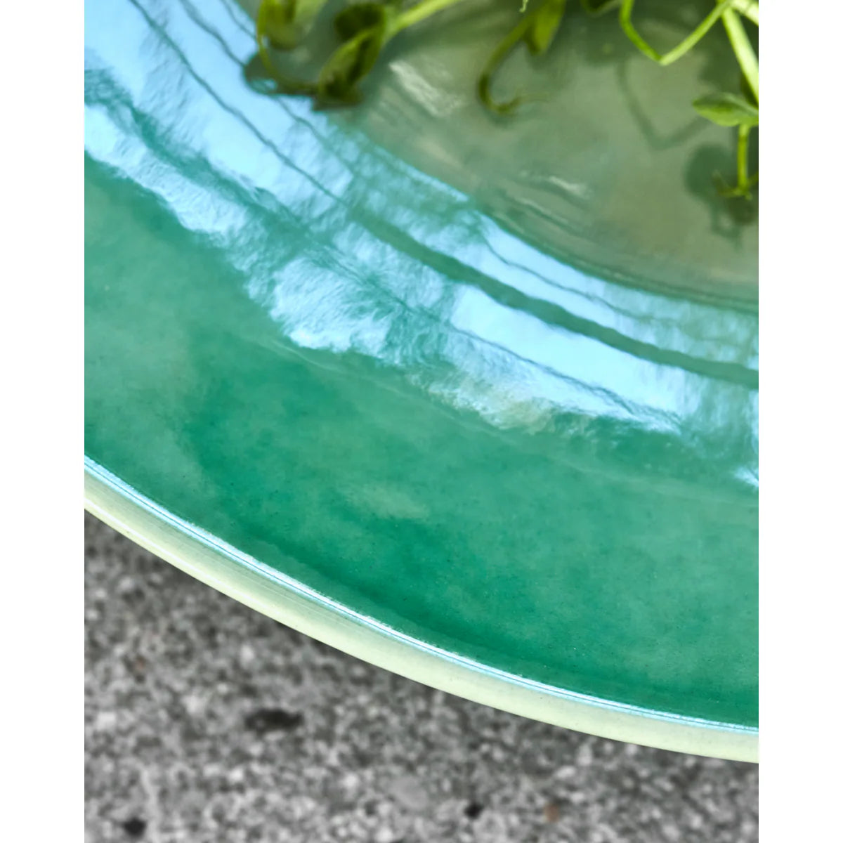 Diva Dinner Plate Green