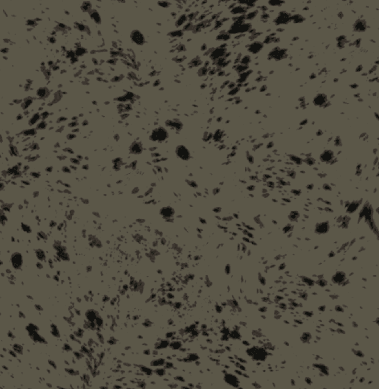 SHILOH KJOLE PART TWO - LifeStyle Hedensted