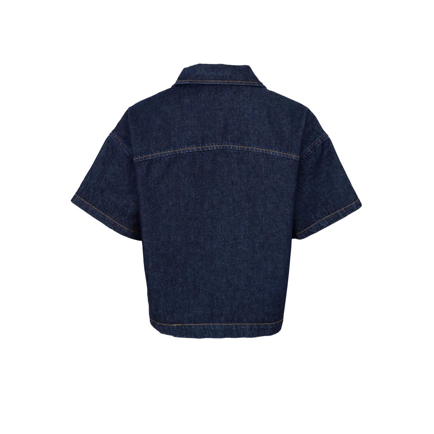 DAFNE DENIMJAKKE BC (34)