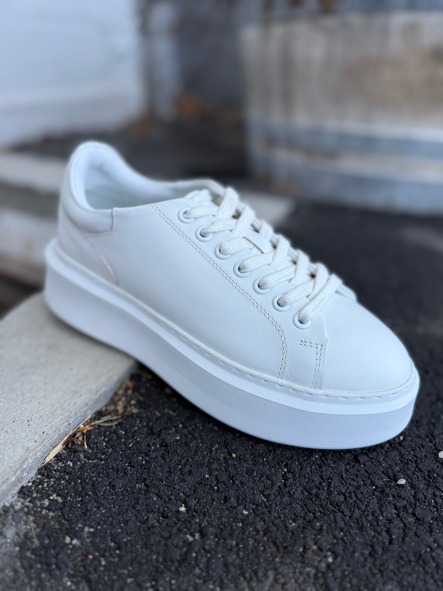 Holly Sneakers A6640