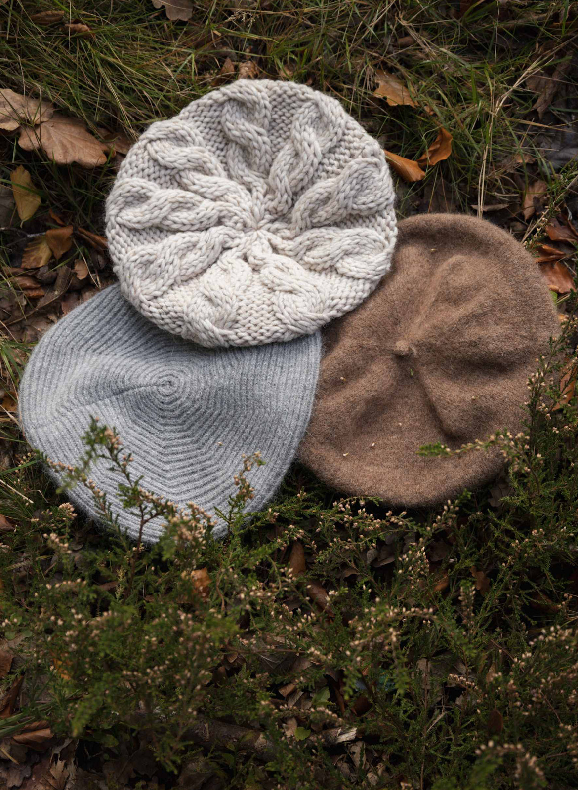 GINGER BARET BC