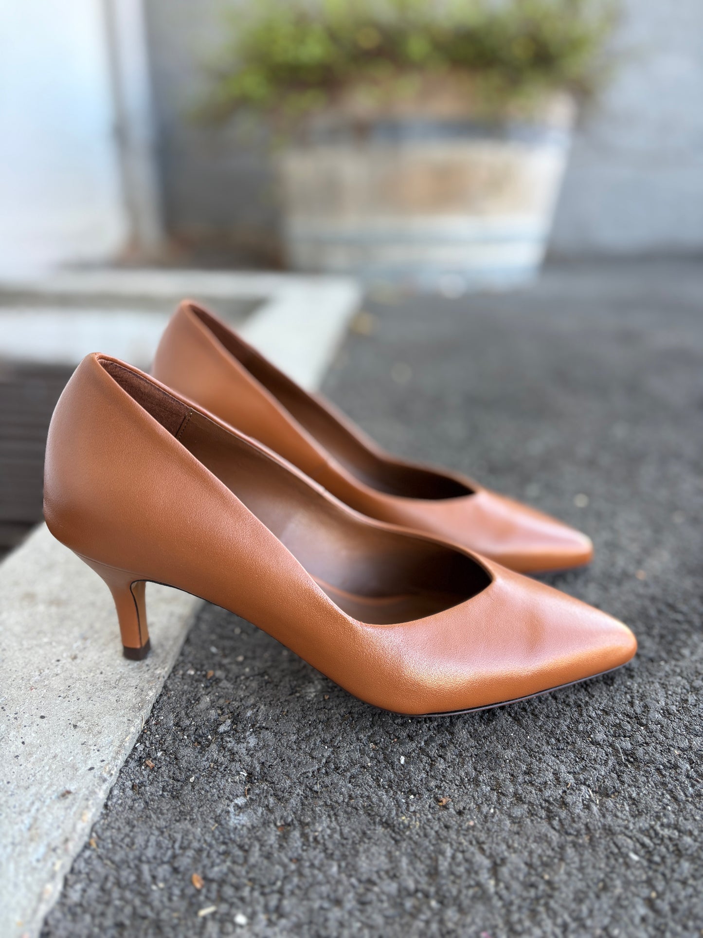 Trini 55 Pumps