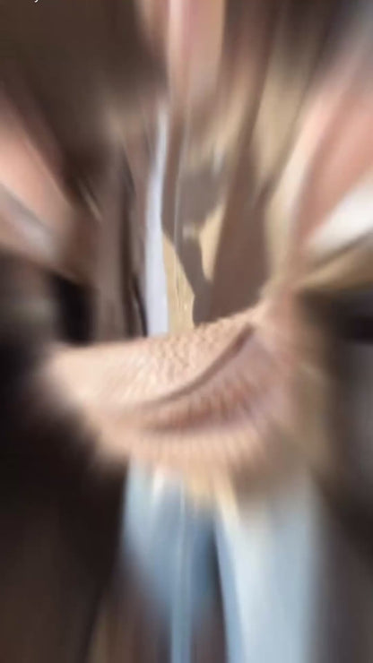 MARLON HVID SKJORTE NE